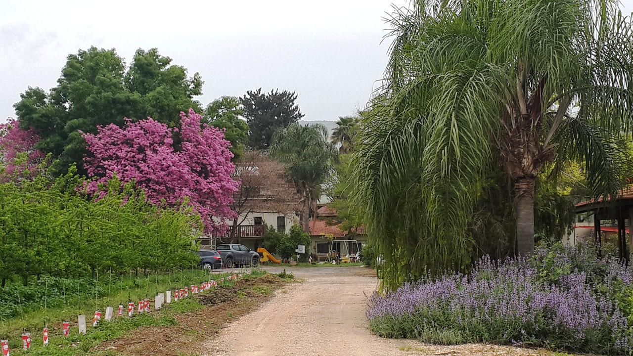 Nuriel Fruit & Guest House Sheʼar Yashuv Exterior foto